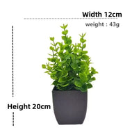 Nordic Artificial Plant Pot Eucalyptus Black Cube for modern desktop and shelf decor