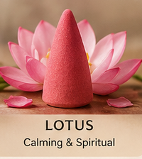 Lotus-scented backflow incense cone